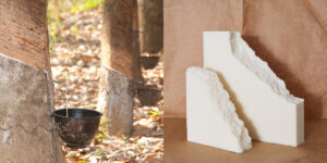Birch Luxe sources its latex from Indian rubber trees and the final product looks like the latex pieces on the right