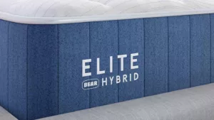 Bear Elite Hybrid Corner Image